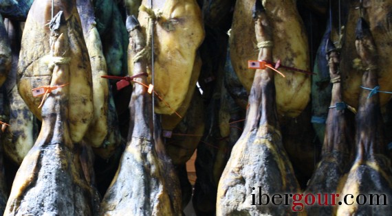 Ibergour hams hanging in a cellar