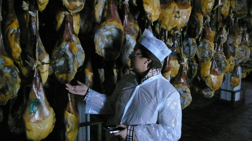 Cinco Jotas shoulders in the Jabugo cellars at the IberGour reserve