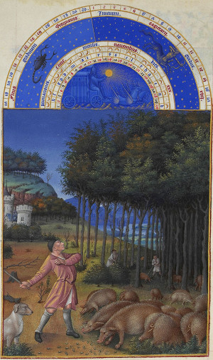 Un porcher fait paître un troupeau de porcs dans un bois de chênes (manuscrit illustré datée entre 1485 et 1486)