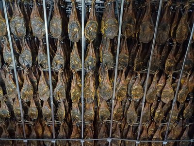 Organic paletas ageing in the Domecq cellar