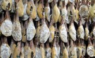 Jamon Pata Negra ripening in a bodega