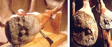 Bigorre ham (France)