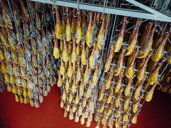 Organic hams ageing in the Domecq cellar